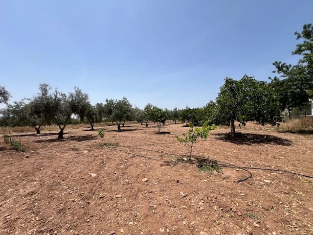 2 soveværelse Finca/Landehus til salg i Uleila del Campo med swimmingpool - € 169.000 (Ref: 9081958)