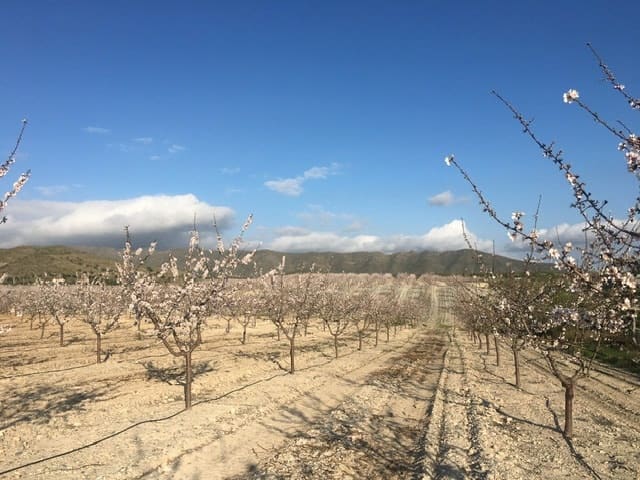 8 slaapkamer Huis te koop in Uleila del Campo - € 190.000 (Ref: 9130558)