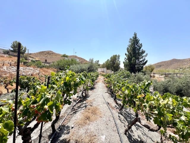 7 soveværelse Finca/Landehus til salg i Tabernas med swimmingpool - € 239.500 (Ref: 9211041)