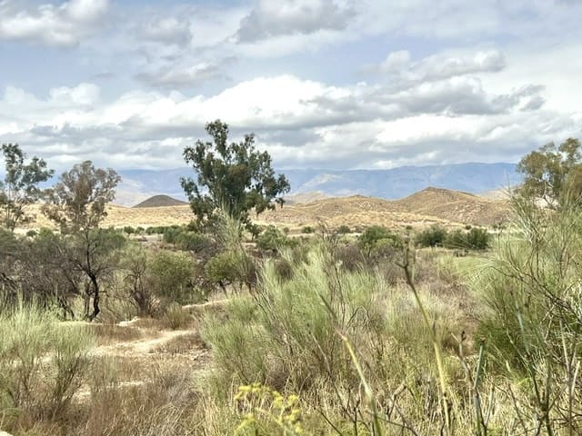 3 soveværelse Finca/Landehus til salg i Tabernas - € 134.950 (Ref: 9306968)