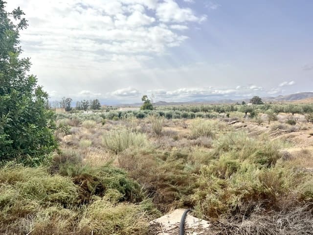 3 soveværelse Finca/Landehus til salg i Tabernas - € 134.950 (Ref: 9306968)