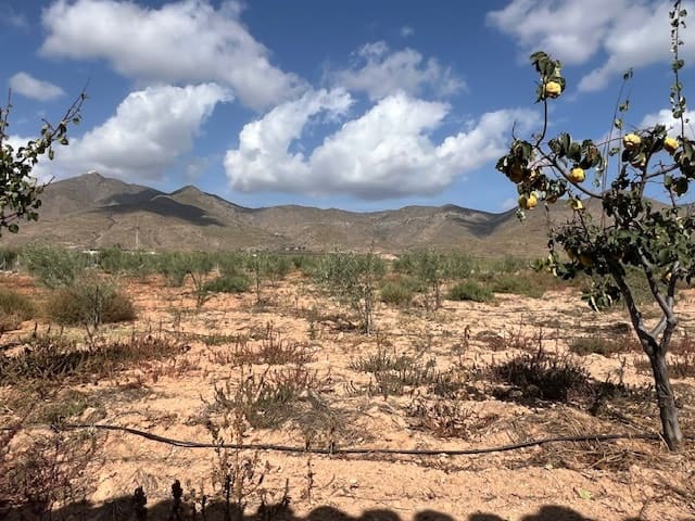 3 camera da letto Finca/Casa di Campagna in vendita in Uleila del Campo - 380.000 € (Rif: 9356930)