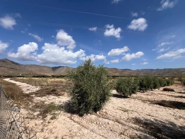 3 soveværelse Finca/Landehus til salg i Uleila del Campo - € 380.000 (Ref: 9356930)