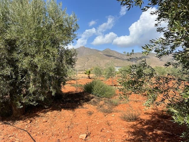 3 camera da letto Finca/Casa di Campagna in vendita in Uleila del Campo - 380.000 € (Rif: 9356930)