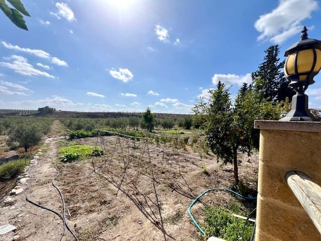 4 camera da letto Finca/Casa di Campagna in vendita in Uleila del Campo con piscina - 349.000 € (Rif: 9356957)
