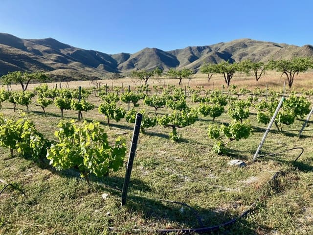 2 sovrum Finca/Hus på landet till salu i Uleila del Campo med pool - 268 000 € (Ref: 9787945)