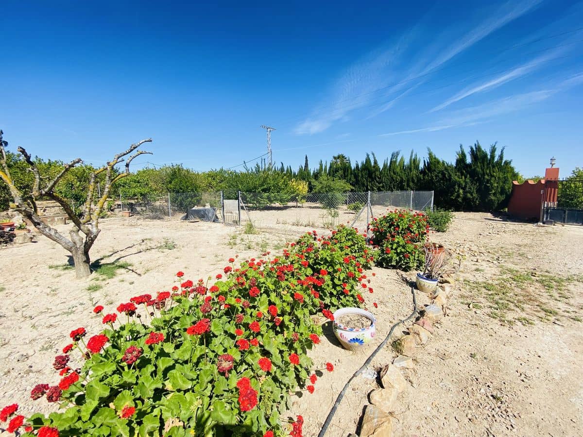 3 bedroom Finca/Country House for sale in San Miguel de Salinas with