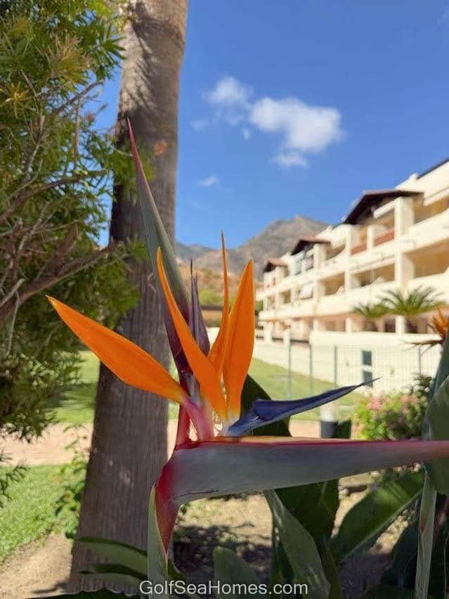 2 makuuhuone Asunto myytävänä paikassa Torrequebrada mukana uima-altaan 
autotalli - 379 000 € (Ref: 9283516)