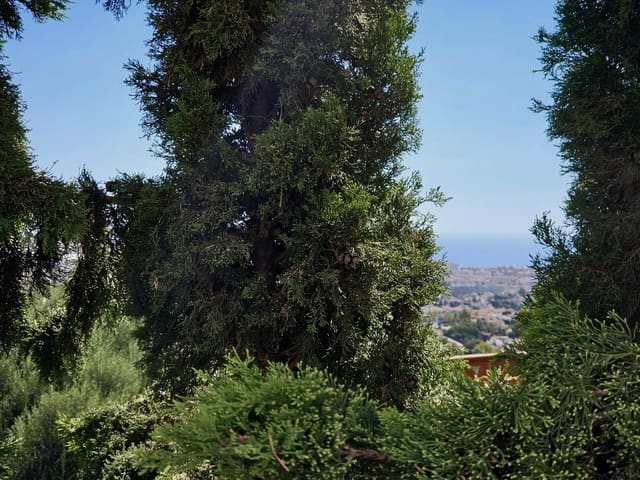 1 bedroom Flat for rent in Benalmádena pueblo, Benalmádena with garage - € 950 (Ref: 9296322)