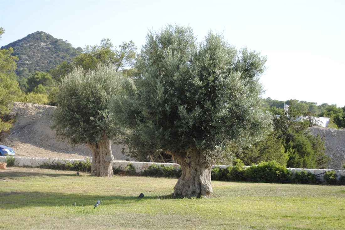 10 soveværelse Villa til salg i Es Cubells med swimmingpool - € 6.780.000 (Ref: 5509261)