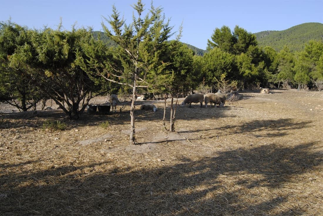 10 soveværelse Villa til salg i Es Cubells med swimmingpool - € 6.780.000 (Ref: 5509261)