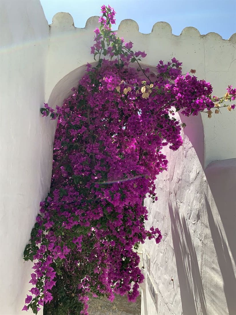 4 soveværelse Villa til salg i Cala Salada med swimmingpool garage - € 3.000.000 (Ref: 8002330)