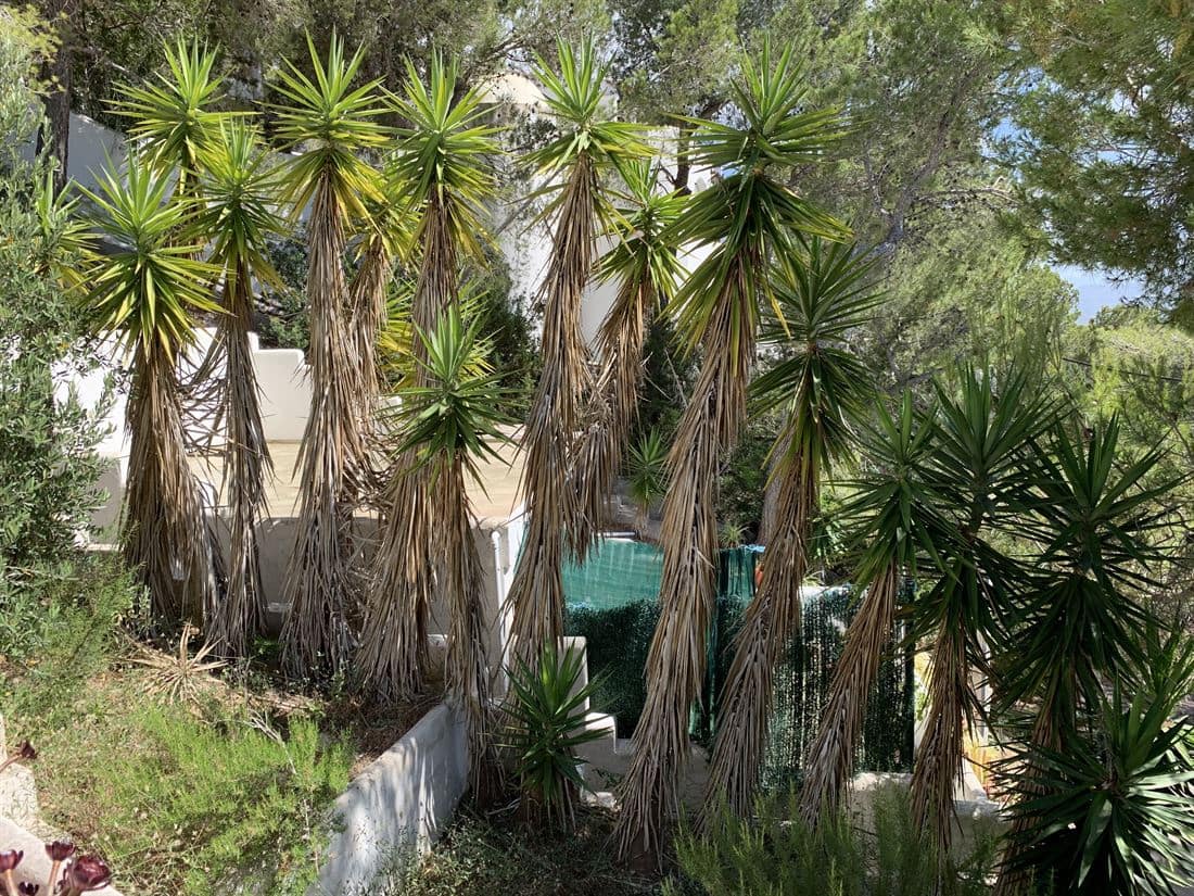 4 soveværelse Villa til salg i Cala Salada med swimmingpool garage - € 3.000.000 (Ref: 8002330)