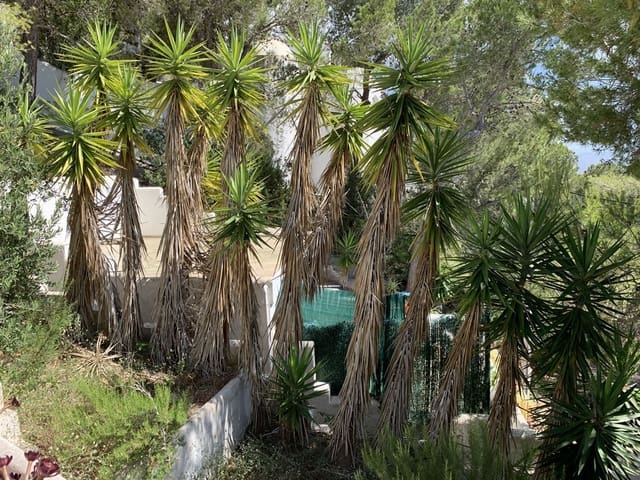 4 sovrum Villa till salu i Cala Salada, Sant Antoni de Portmany med pool garage - 3 000 000 € (Ref: 8002330)