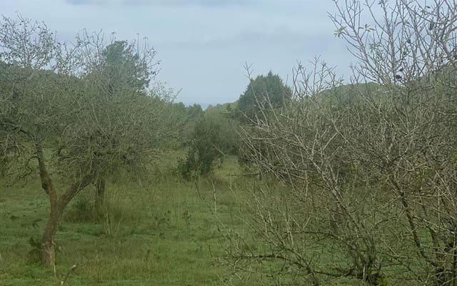 8 soveværelse Villa til salg i San Jose / Sant Josep de Sa Talaia med swimmingpool garage - € 1.800.000 (Ref: 8005298)