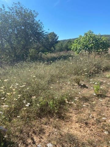 Mark till salu i Ibiza stad - 1 850 000 € (Ref: 8008128)