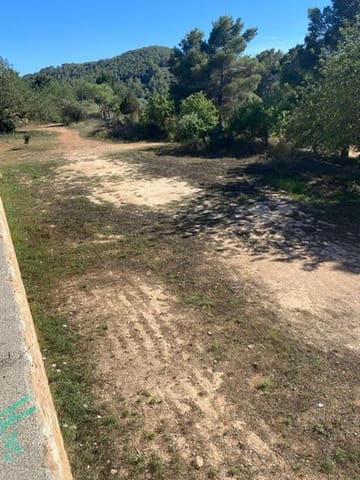 Mark till salu i Ibiza stad - 1 850 000 € (Ref: 8008128)