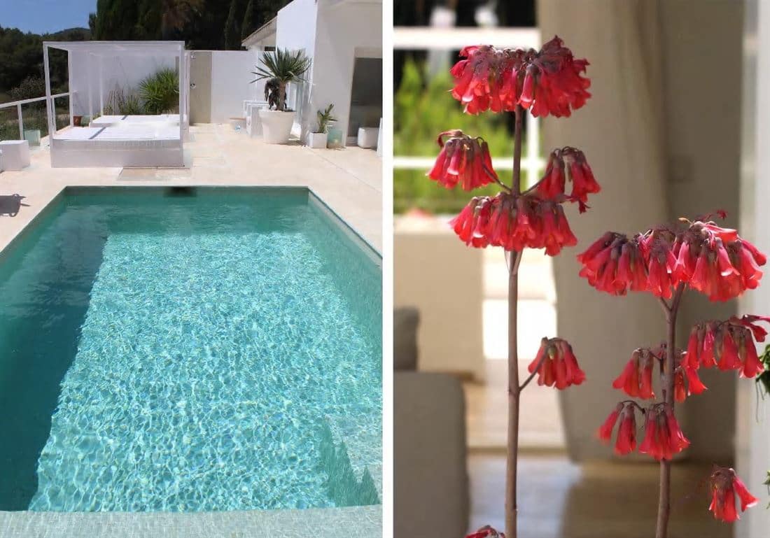 3 soverom Villa til salgs i Roca Llisa med svømmebasseng garasje - € 1 700 000 (Ref: 8011165)