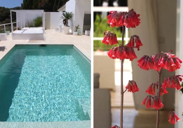 3 makuuhuone Huvila myytävänä paikassa Roca Llisa, Santa Eulalia / Santa Eularia mukana uima-altaan 
autotalli - 1 700 000 € (Ref: 8011165)