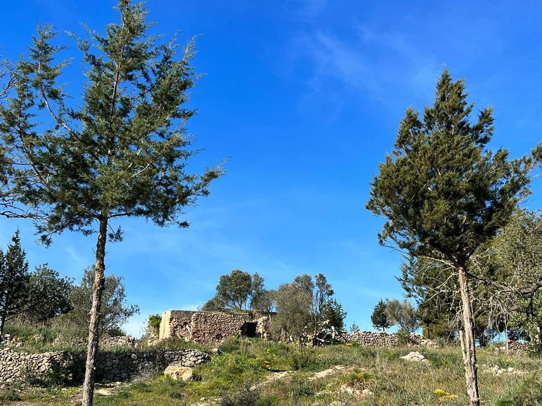 5 soveværelse Finca/Landehus til salg i San Jose / Sant Josep de Sa Talaia med swimmingpool garage - € 2.950.000 (Ref: 8012548)