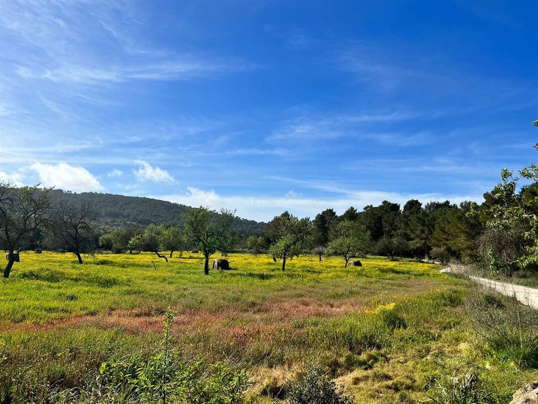 5 soveværelse Finca/Landehus til salg i San Jose / Sant Josep de Sa Talaia med swimmingpool garage - € 2.950.000 (Ref: 8012548)