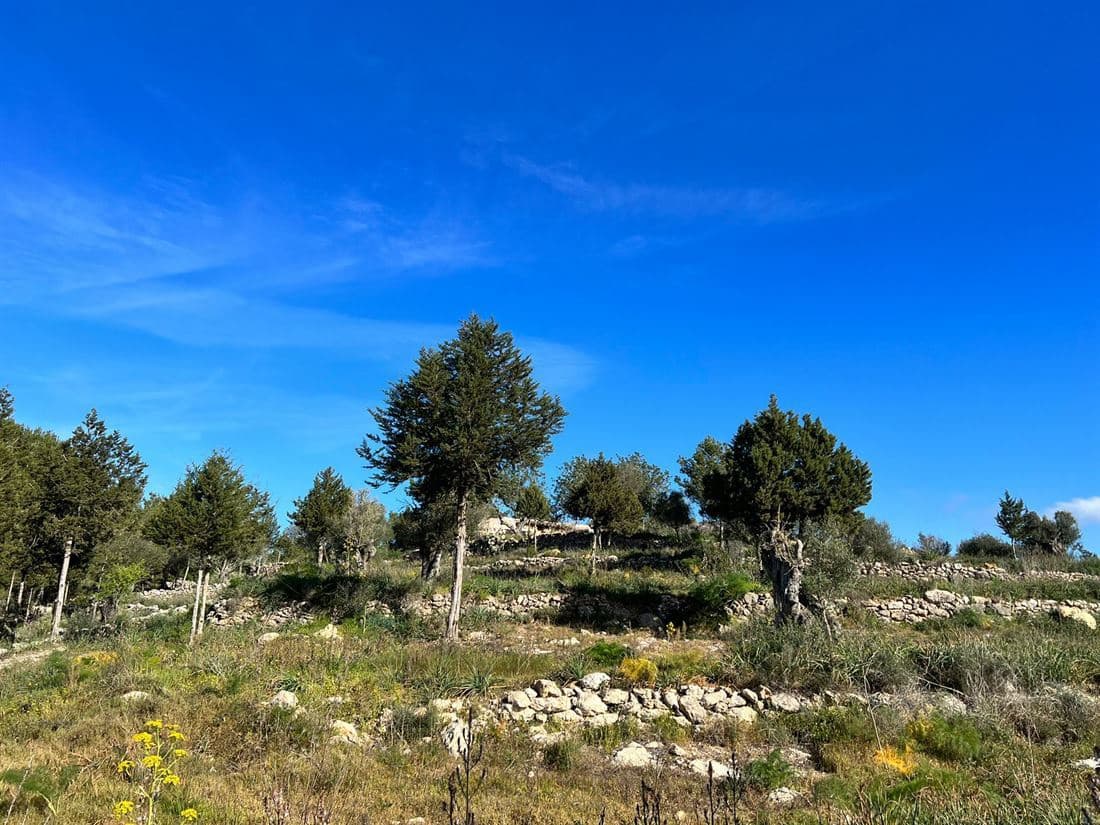 5 soveværelse Finca/Landehus til salg i San Jose / Sant Josep de Sa Talaia med swimmingpool garage - € 2.950.000 (Ref: 8012548)