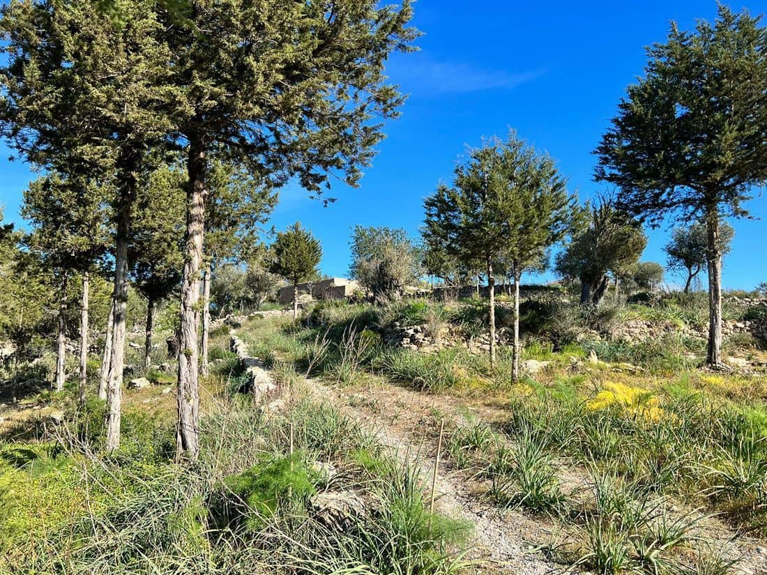 5 soveværelse Finca/Landehus til salg i San Jose / Sant Josep de Sa Talaia med swimmingpool garage - € 2.950.000 (Ref: 8012548)