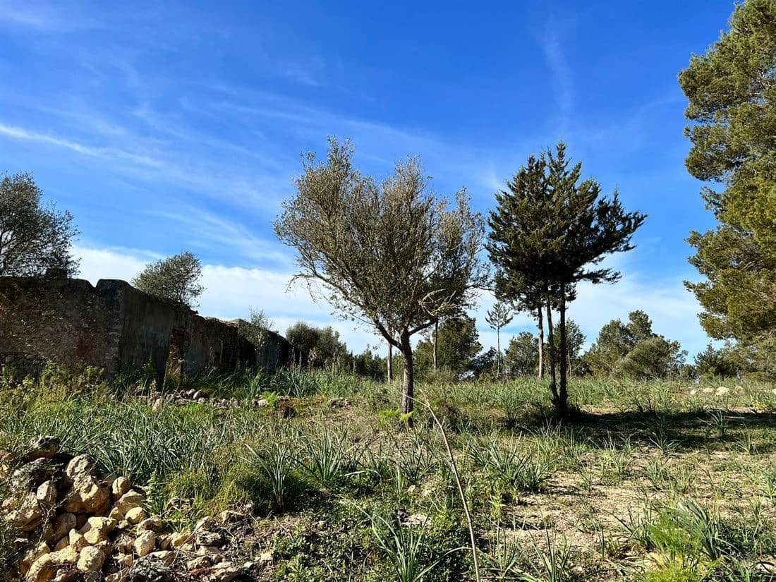 5 soveværelse Finca/Landehus til salg i San Jose / Sant Josep de Sa Talaia med swimmingpool garage - € 2.950.000 (Ref: 8012548)