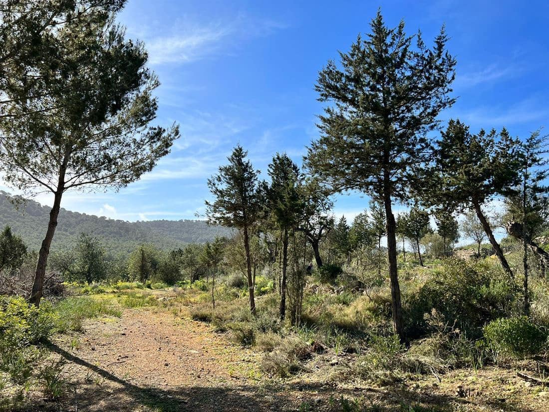 5 soveværelse Finca/Landehus til salg i San Jose / Sant Josep de Sa Talaia med swimmingpool garage - € 2.950.000 (Ref: 8012548)