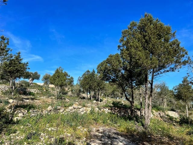 5 soverom Finca/Herregård til salgs i San Jose / Sant Josep de Sa Talaia med svømmebasseng garasje - € 2 950 000 (Ref: 8012548)
