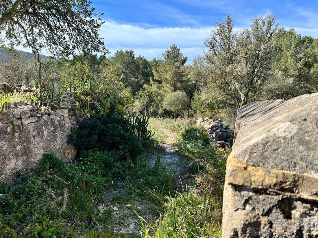 5 soveværelse Finca/Landehus til salg i San Jose / Sant Josep de Sa Talaia med swimmingpool garage - € 2.950.000 (Ref: 8012548)