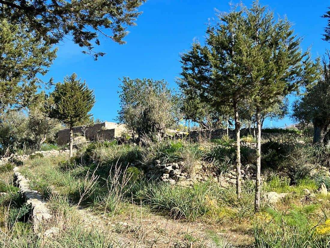 5 soveværelse Finca/Landehus til salg i San Jose / Sant Josep de Sa Talaia med swimmingpool garage - € 2.950.000 (Ref: 8012548)