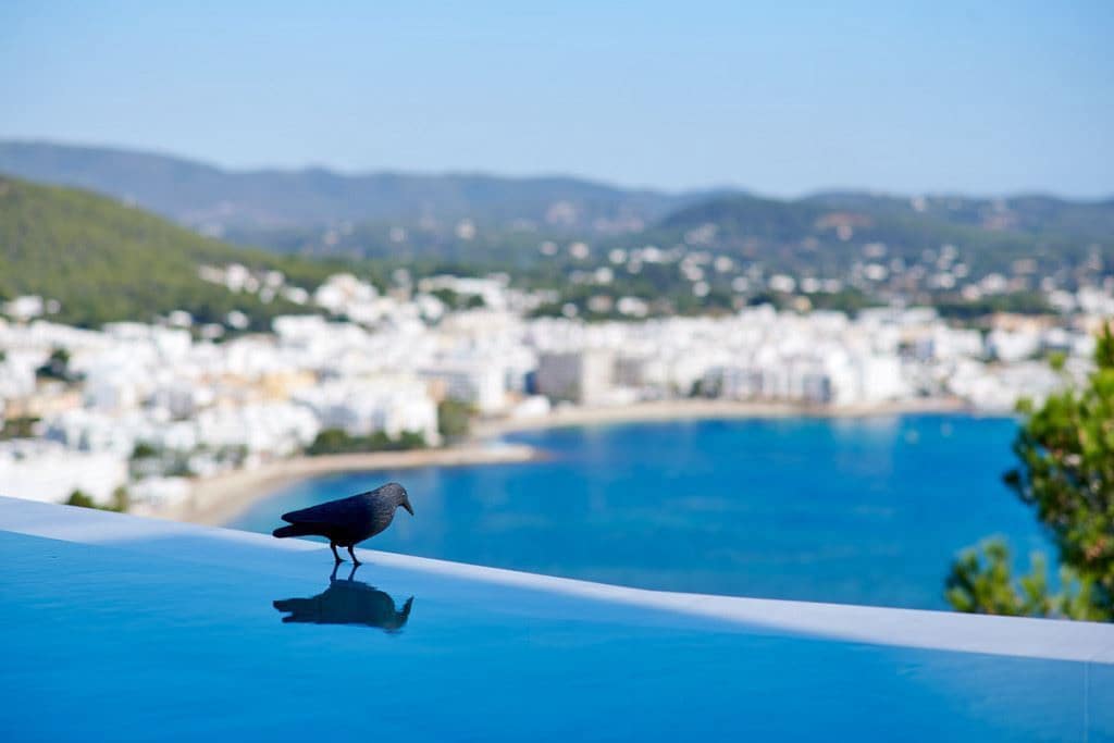 6 soveværelse Villa til salg i La Siesta med swimmingpool garage - € 13.000.000 (Ref: 8012549)