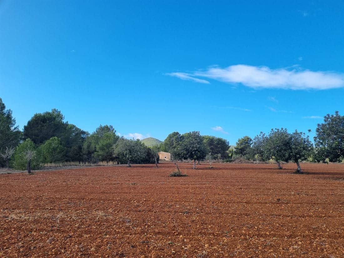 Grunde uden byggetilladelser til salg i Santa Gertrudis de Fruitera - € 1.950.000 (Ref: 8012552)