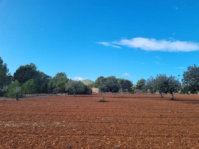 Grunde uden byggetilladelser til salg i Santa Gertrudis de Fruitera, Santa Eulalia / Santa Eularia - € 1.950.000 (Ref: 8012552)