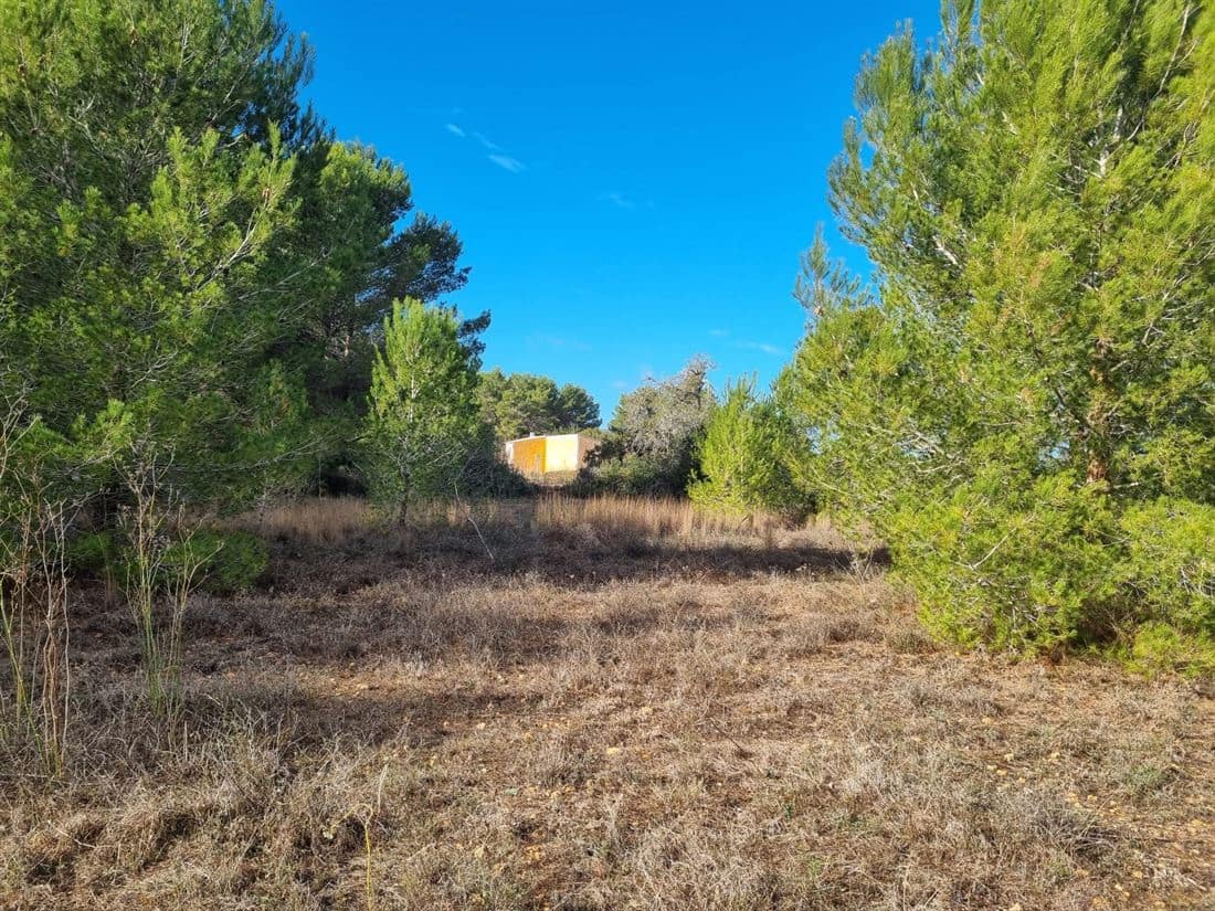 Grunde uden byggetilladelser til salg i Santa Gertrudis de Fruitera - € 1.950.000 (Ref: 8012552)