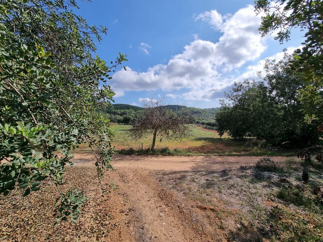 Villa for sale in Santa Eulalia / Santa Eularia with pool garage - € 1,360,000 (Ref: 8015568)