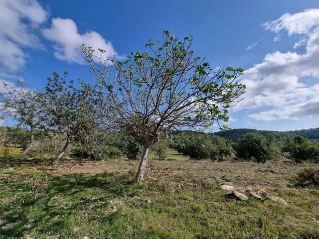 Villa for sale in Santa Eulalia / Santa Eularia with pool garage - € 1,360,000 (Ref: 8015568)