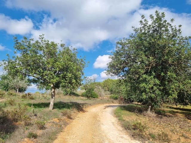 Villa for sale in Santa Eulalia / Santa Eularia with pool garage - € 1,360,000 (Ref: 8015568)