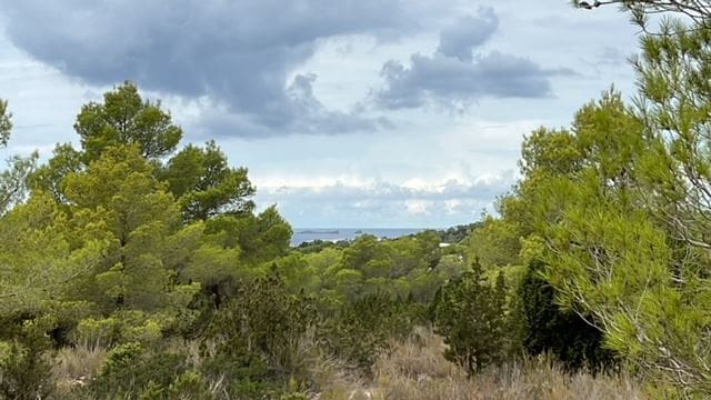 Grunde uden byggetilladelser til salg i Cala Tarida - € 2.400.000 (Ref: 8016561)