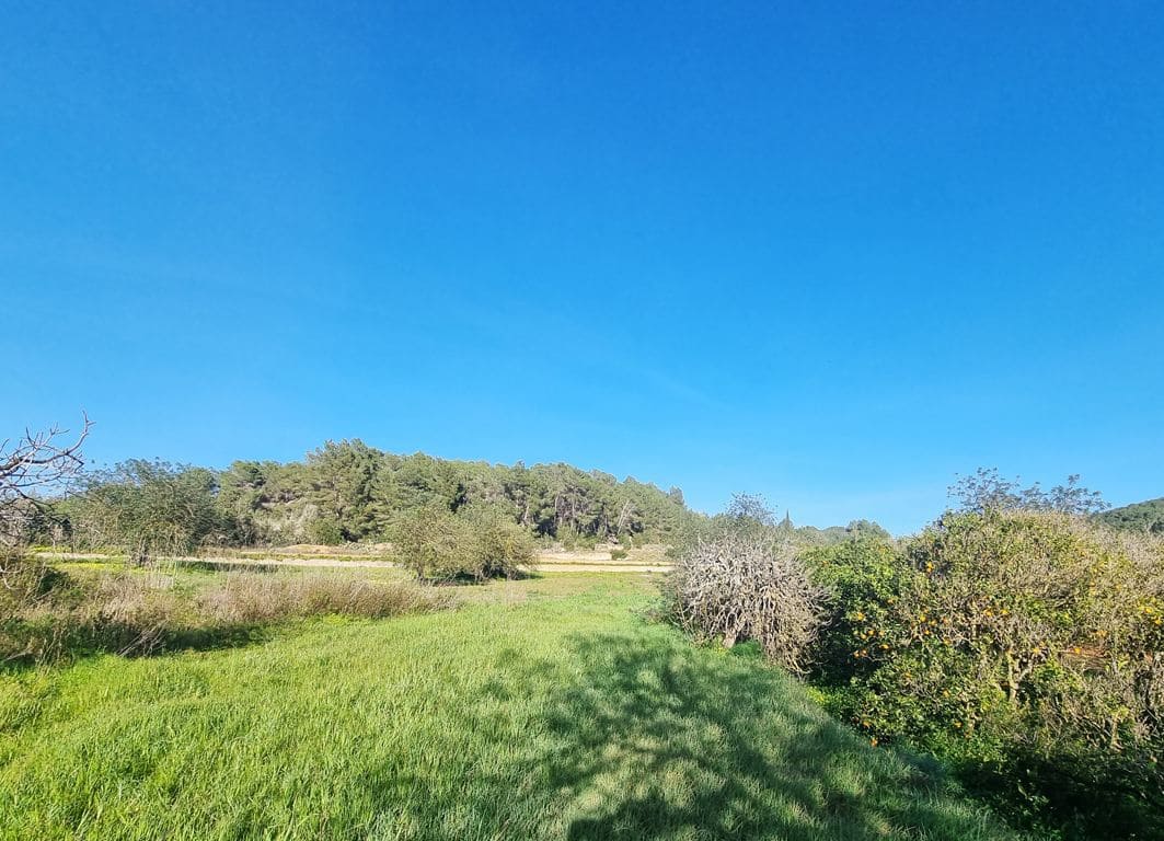 Terrain à Bâtir à vendre à Santa Eulalia / Santa Eularia - 2 250 000 € (Ref: 8597734)