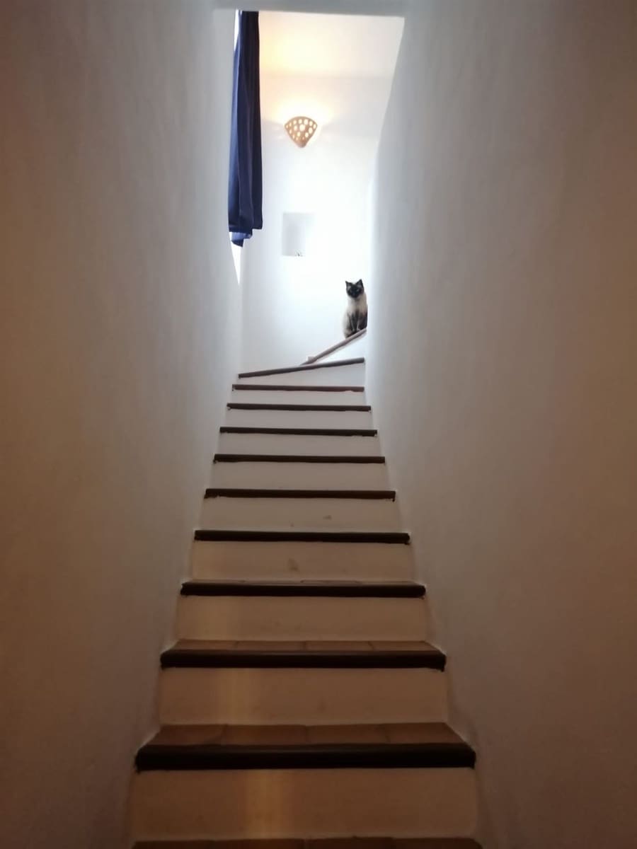 6 bedroom Villa for sale in Formentera municipality with pool - € 2,900,000 (Ref: 8599991)