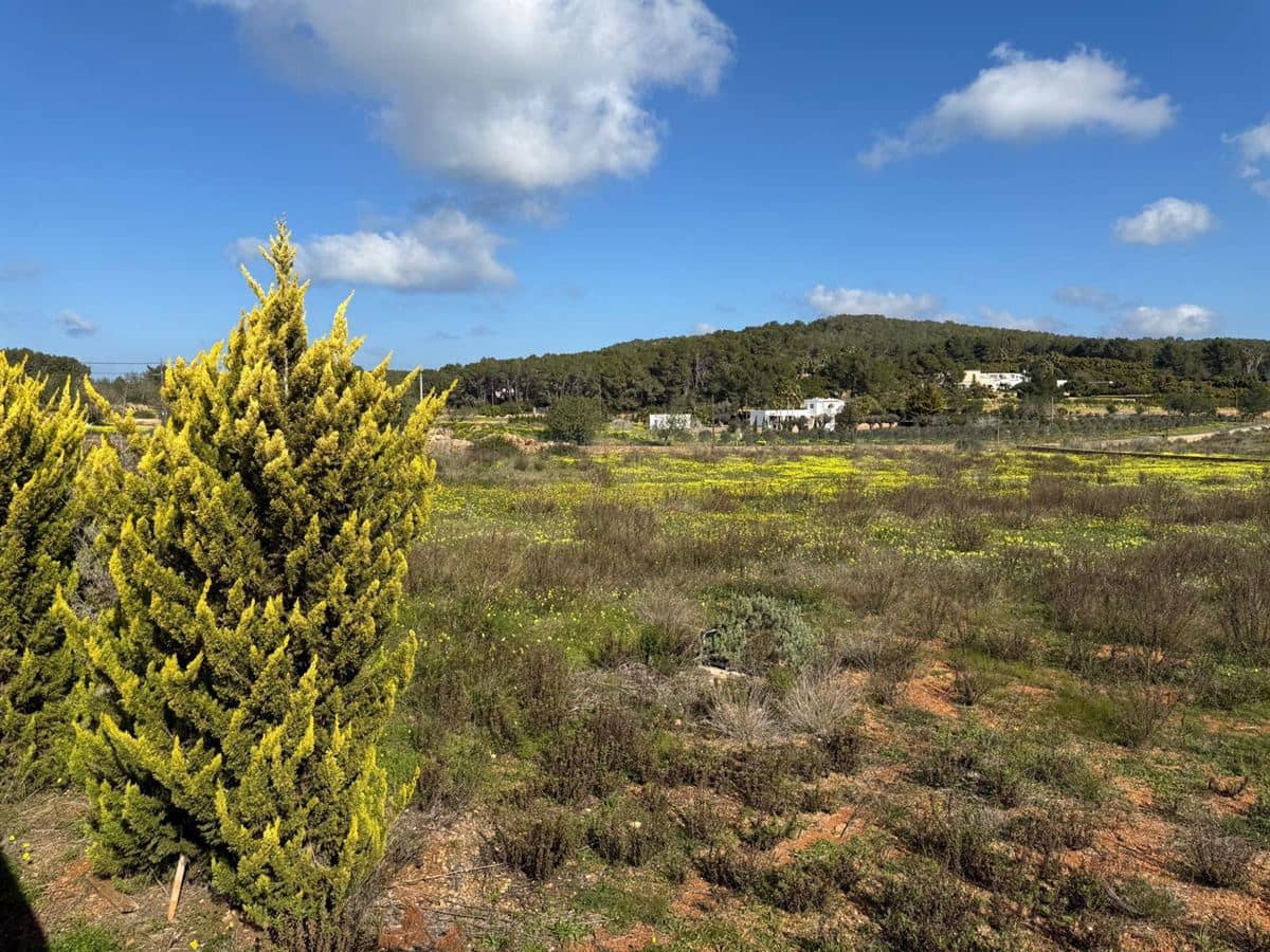 5 bedroom Villa for sale in Santa Eulalia / Santa Eularia with pool - € 4,000,000 (Ref: 8830108)