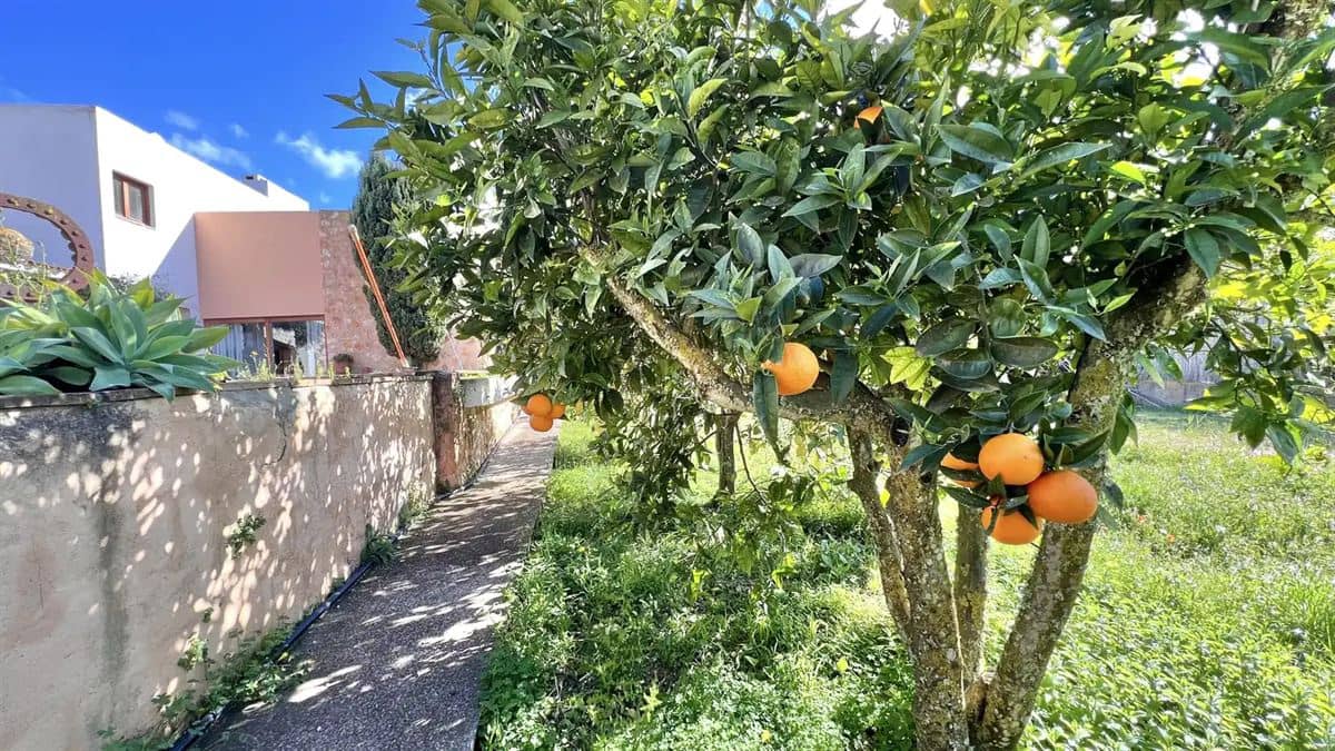 4 quarto Quinta/Casa Rural para venda em Sant Antoni de Portmany com piscina - 4 465 000 € (Ref: 8921787)