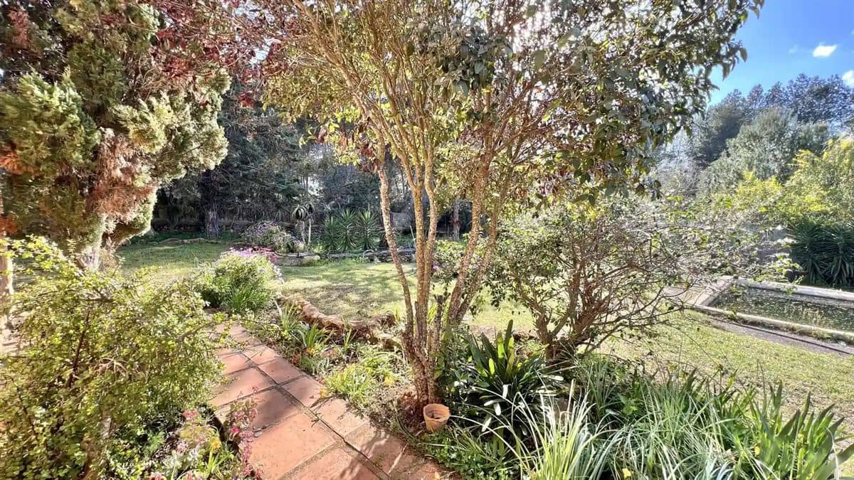 4 quarto Quinta/Casa Rural para venda em Sant Antoni de Portmany com piscina - 4 465 000 € (Ref: 8921787)