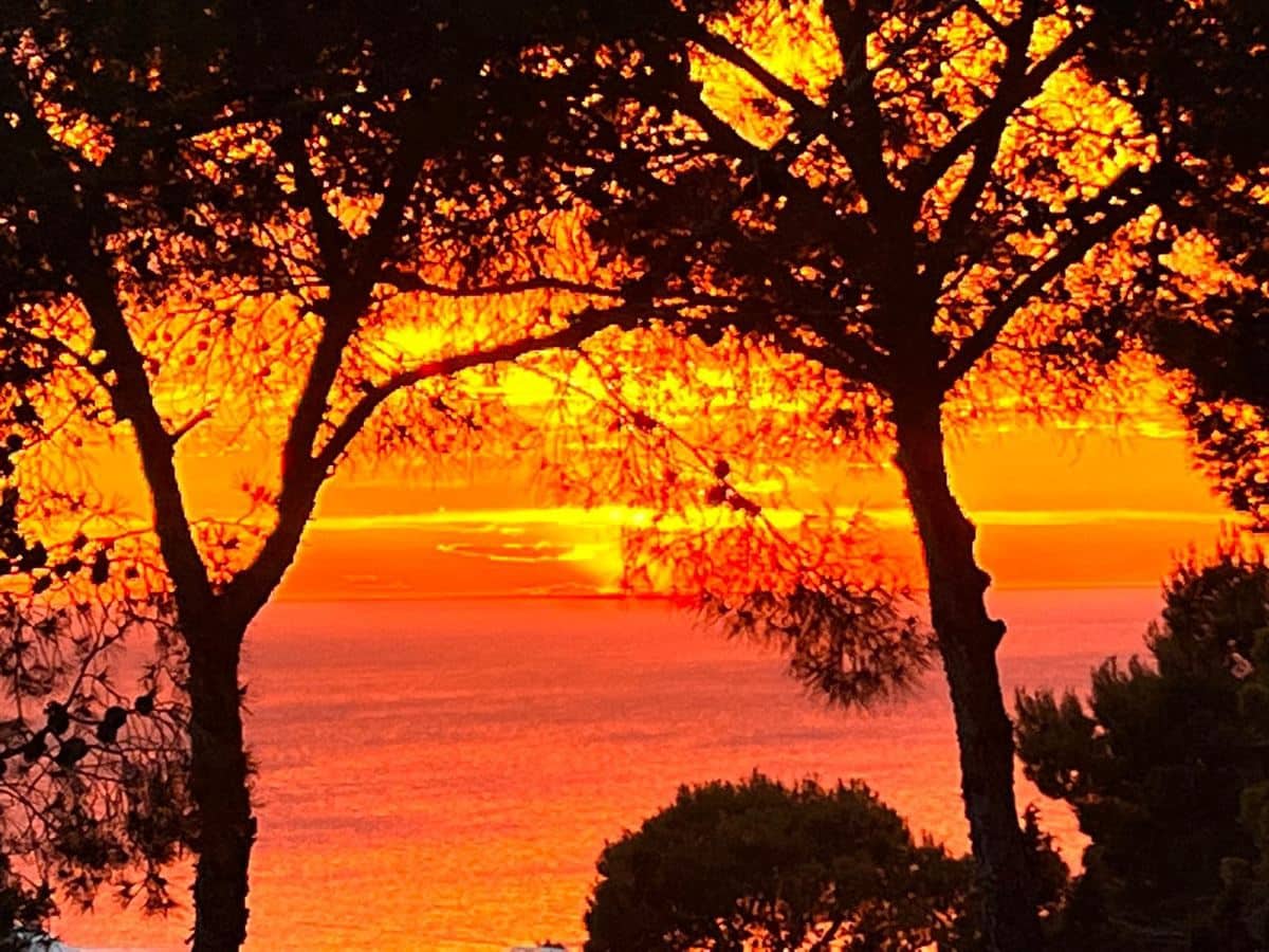 1 slaapkamer Villa te koop in Santa Eulalia / Santa Eularia - € 595.000 (Ref: 9385778)