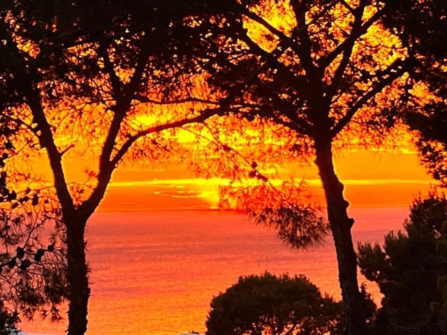 1 slaapkamer Villa te koop in Santa Eulalia / Santa Eularia - € 595.000 (Ref: 9385778)