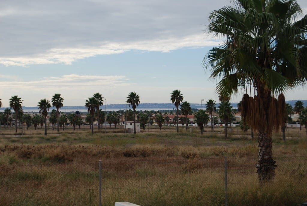 3 sypialnia Dom blizniak do wynajęcia w Ciudad Quesada z basenem - 850 € (Ref: 6447858)