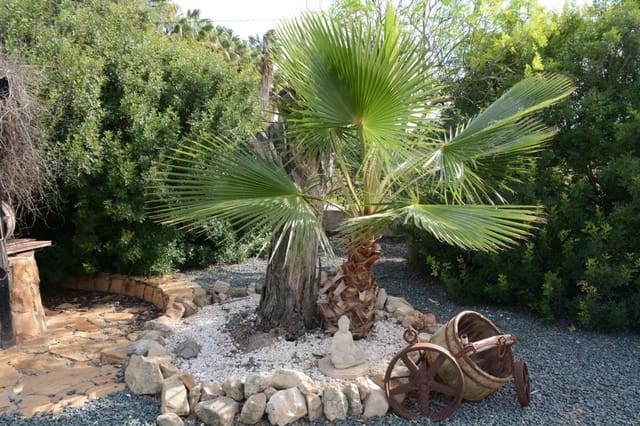 4 slaapkamer Finca/Landhuis te koop in Daya Vieja met zwembad - € 595.000 (Ref: 9371757)