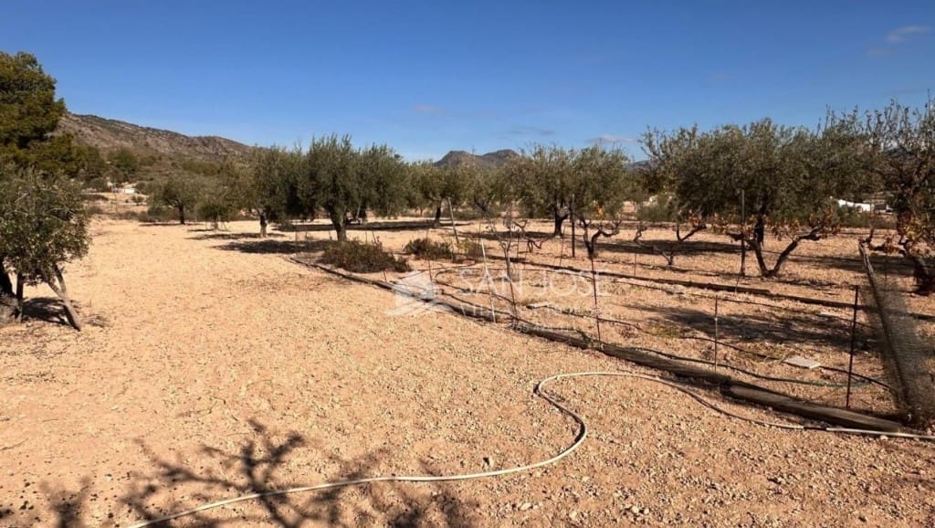 4 bedroom Finca/Country House for sale in Monovar / Monover with pool - € 286,355 (Ref: 9415510)